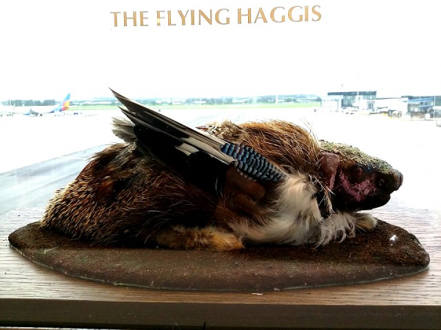 Flying haggis | Pleach | Blipfoto