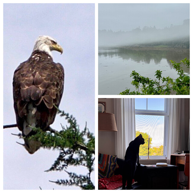 Machiasport, Maine, Day 8 justbe Blipfoto