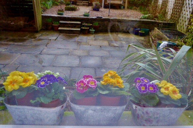 Flowers In The Rain ValC Blipfoto