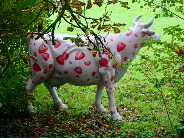 Strawberry cow | PAR1 | Blipfoto